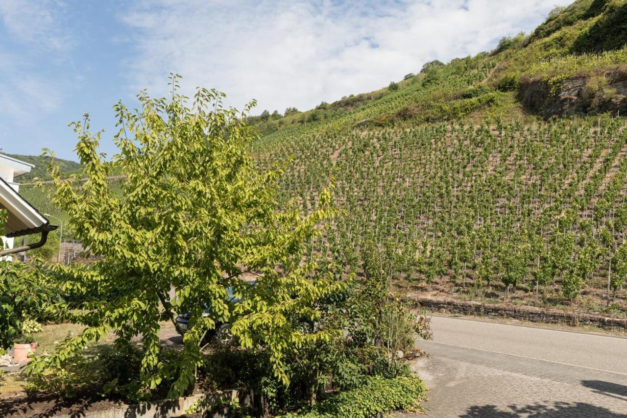 Hotel Garni "Cafe Im Hamm" Zell an der Mosel Luaran gambar