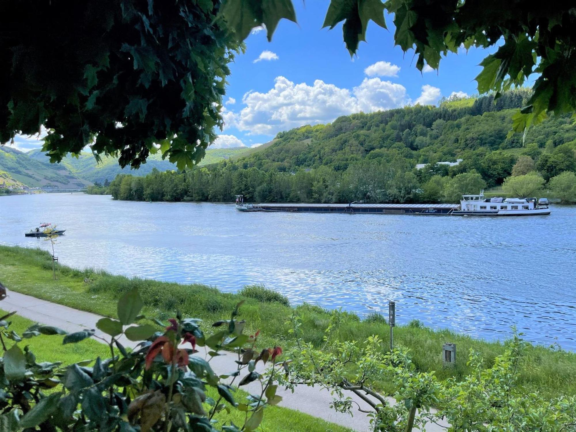 Hotel Garni "Cafe Im Hamm" Zell an der Mosel Bilik gambar